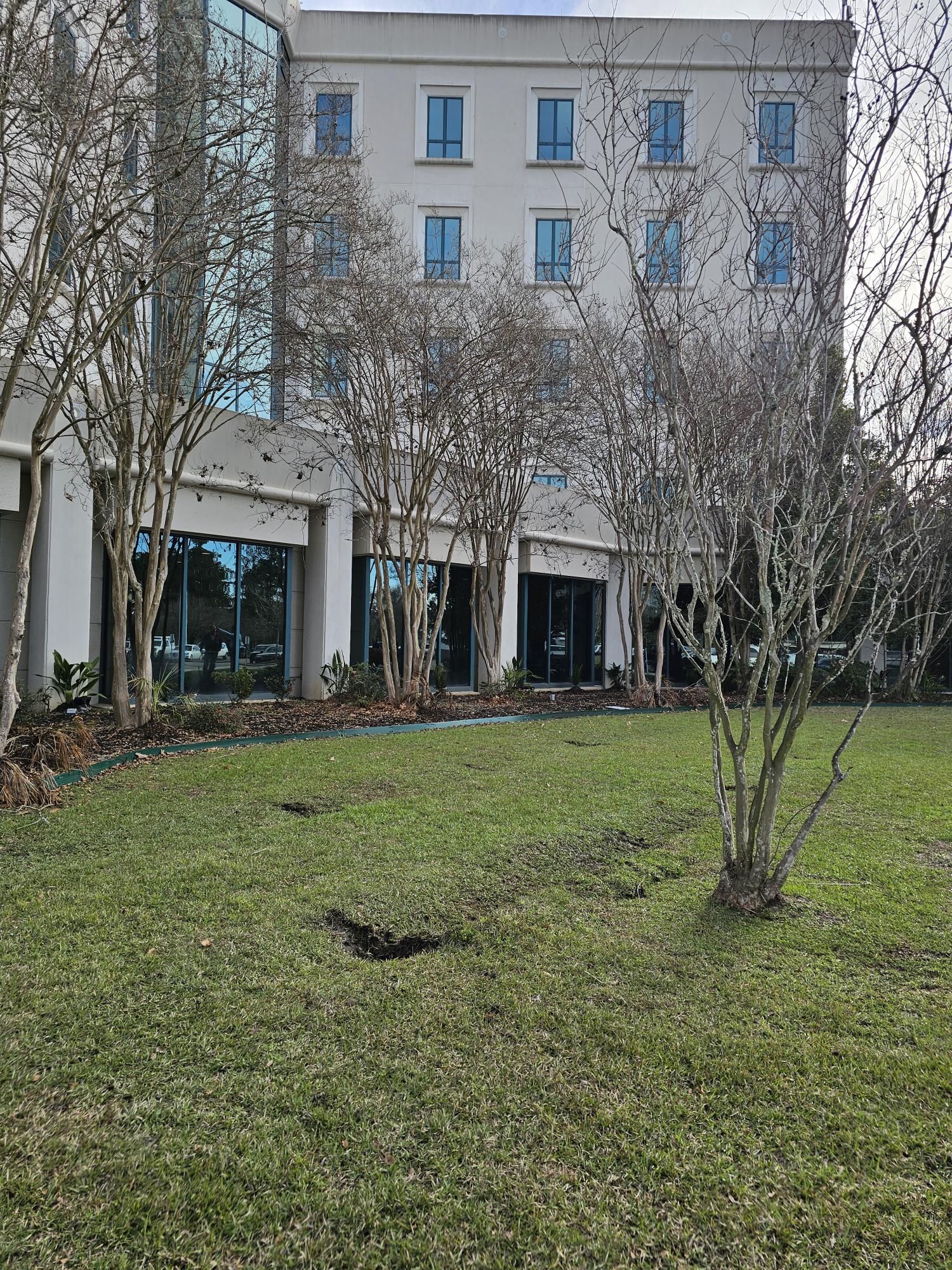 Damaged facade from lift